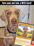 Custom Magic Card, Mtg Card, Custom TCG Card, Mtg Pet Cards, Mtg Anniversary Card, Magic custom cards, Proxy TCG