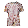 Shells Collection Art graphic t-shirt, unisex cotton tee